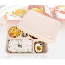 Disposable Eco-Friendly Corn Starch School Lunch Tray